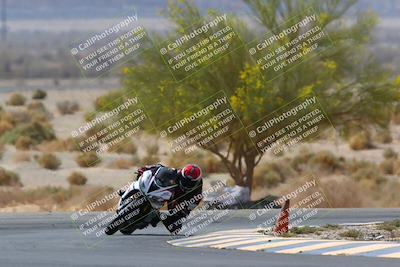 media/Apr-10-2022-SoCal Trackdays (Sun) [[f104b12566]]/Turn 5 Tree of Life (1040am)/